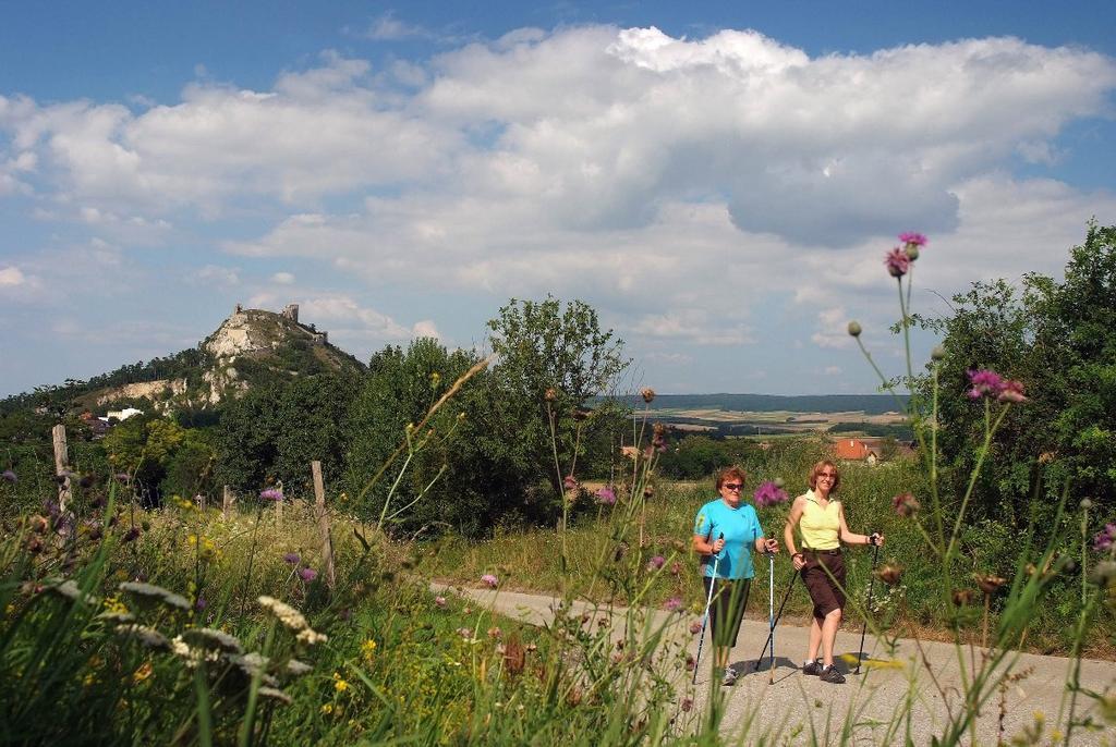 Weinbauernhof Vier Jahreszeiten Staatz Extérieur photo